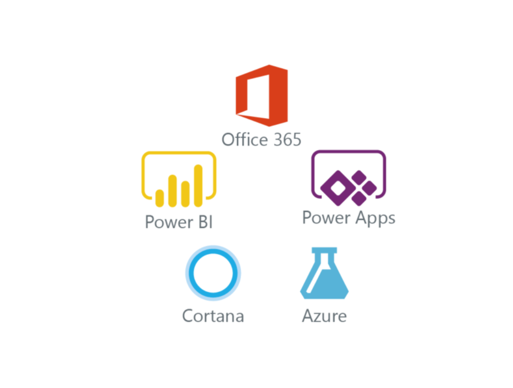 Microsoft Dynamics 365 Partner