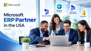 microsoft-erp-partner-in-the-usa